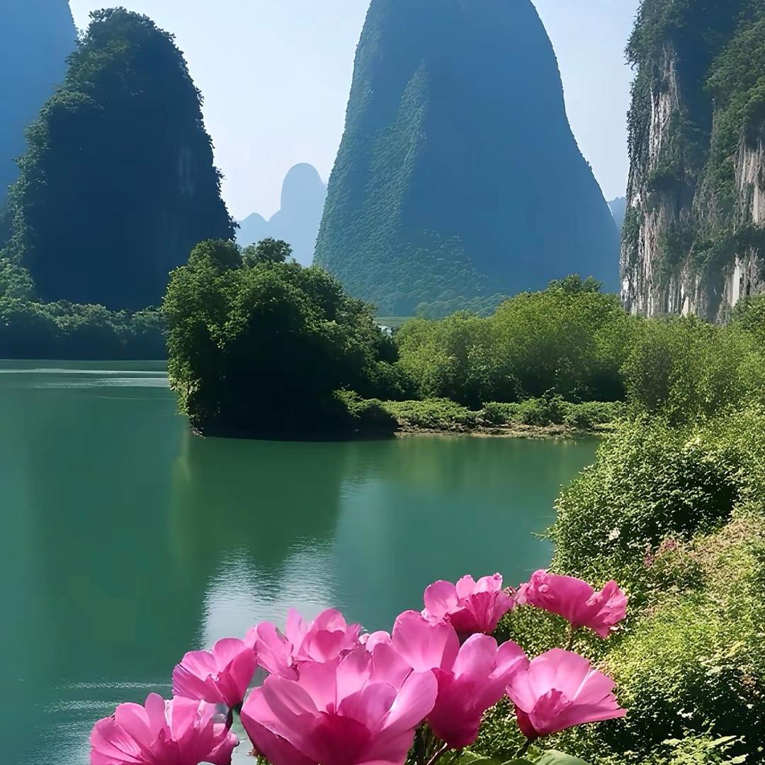 温暖向阳