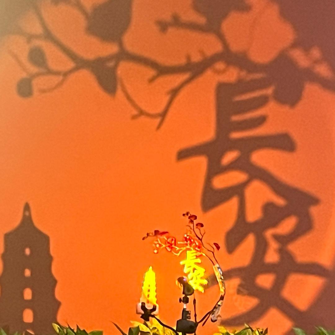 阿蛇（三角洲行动）
