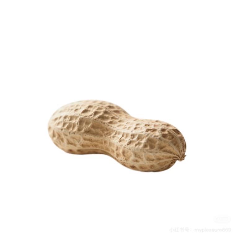 重生之我是赚钱特种兵