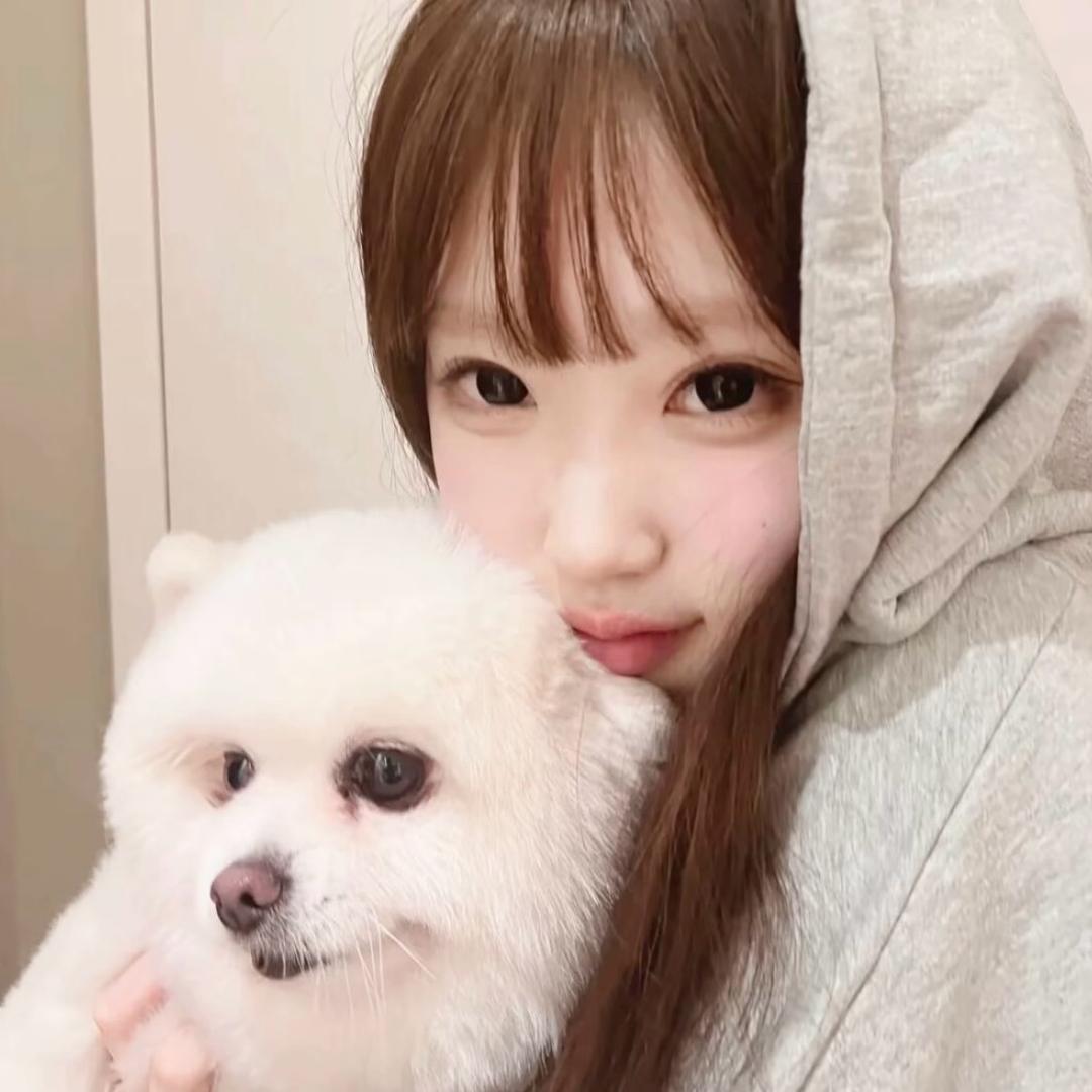 说鱼