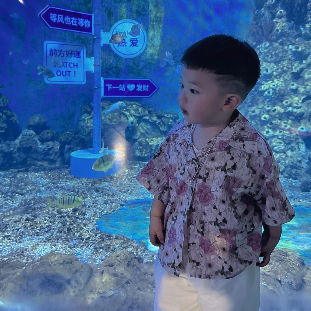 柒宝的一天到晚✨