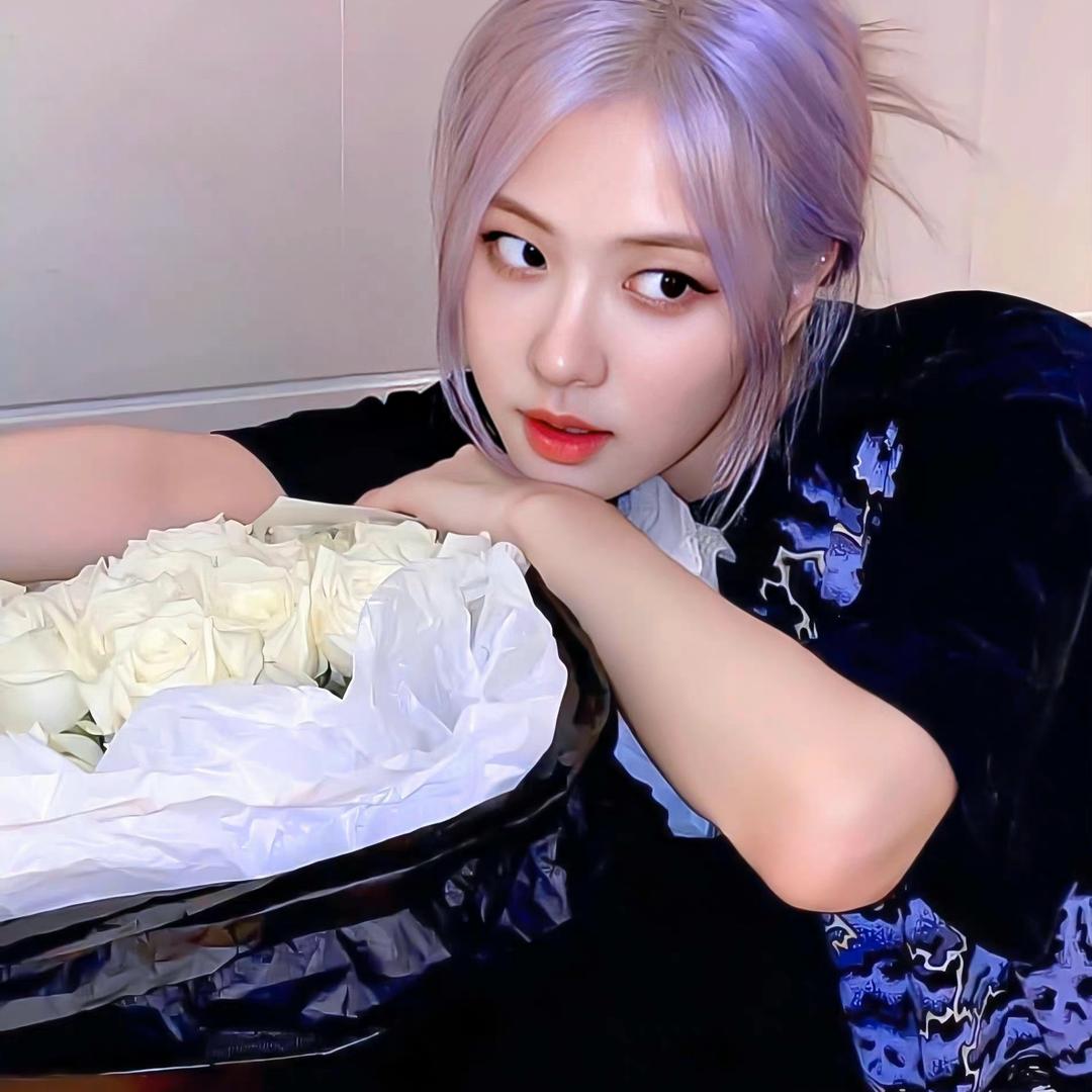 天津商务小锦鲤.