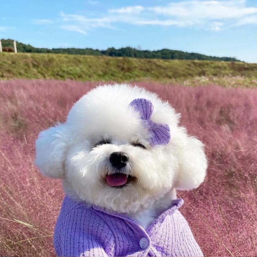 崇左市江州区爱麻仕棋牌室