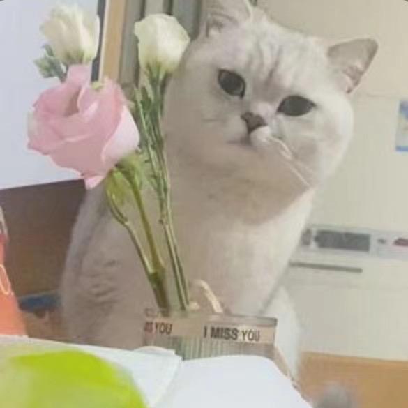欧米咖