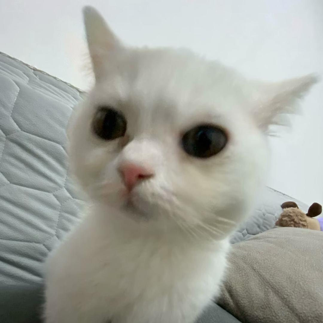 我不想上学