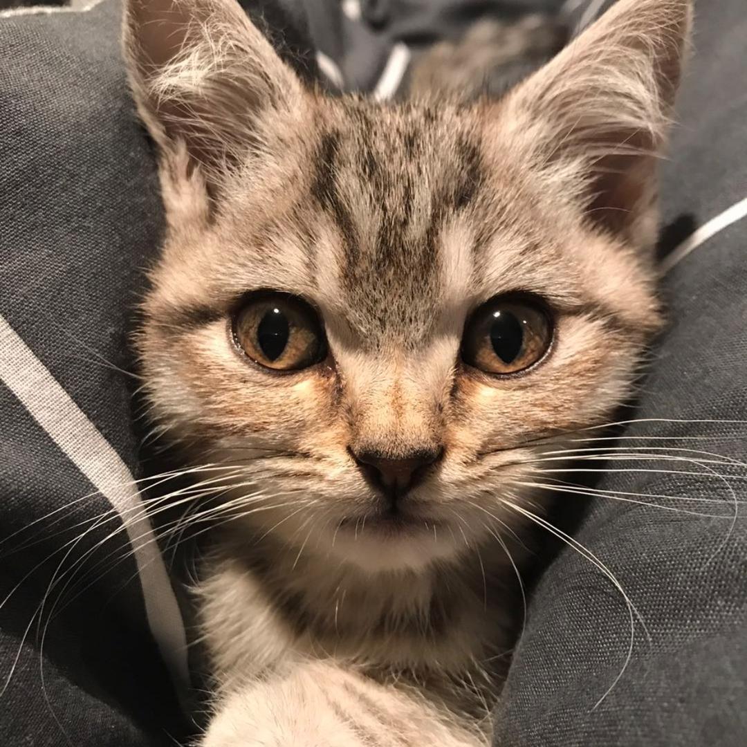 菠萝蜜很甜（焕新版）