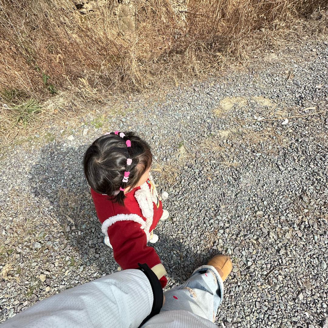 屈屈🦗（奋斗版）