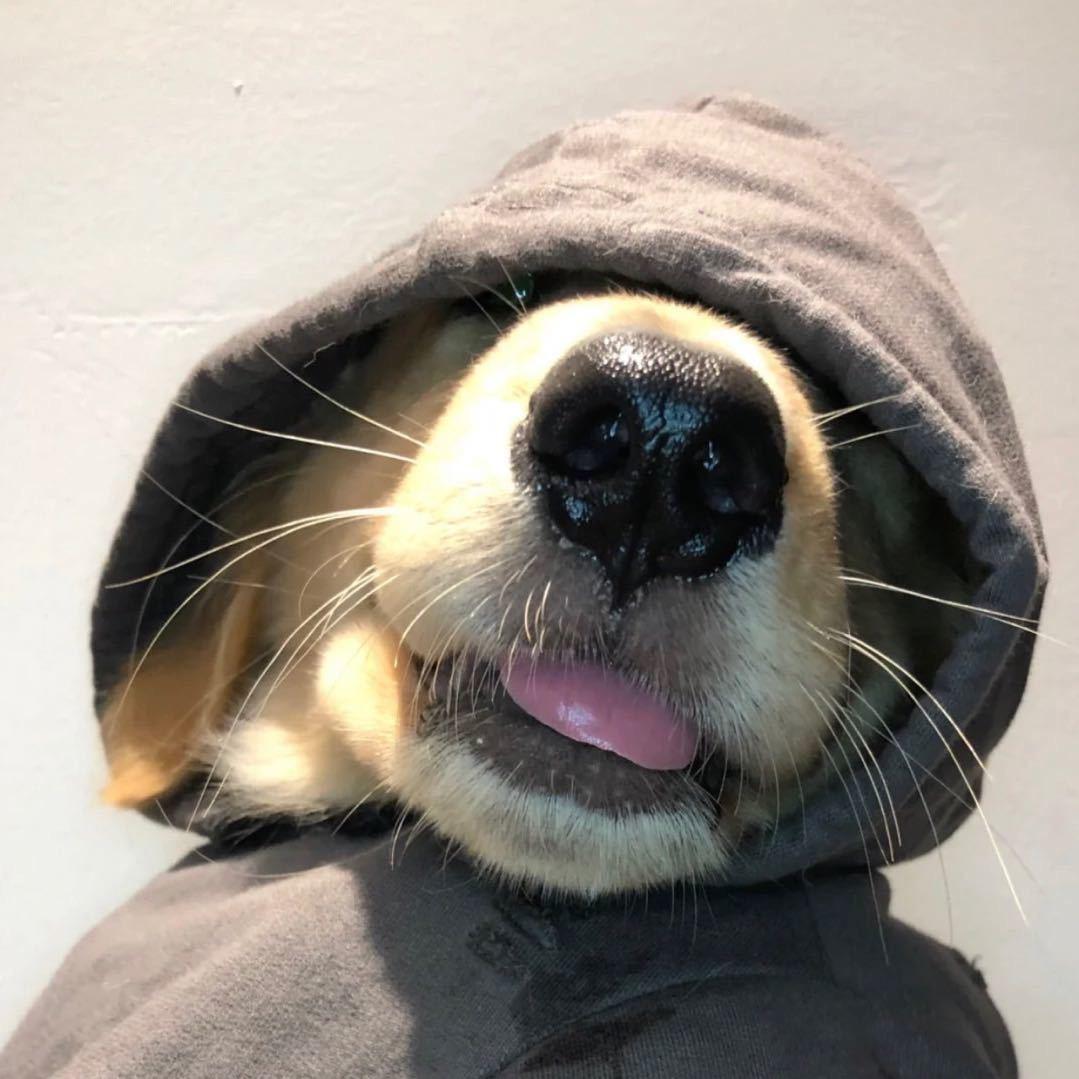 jj.