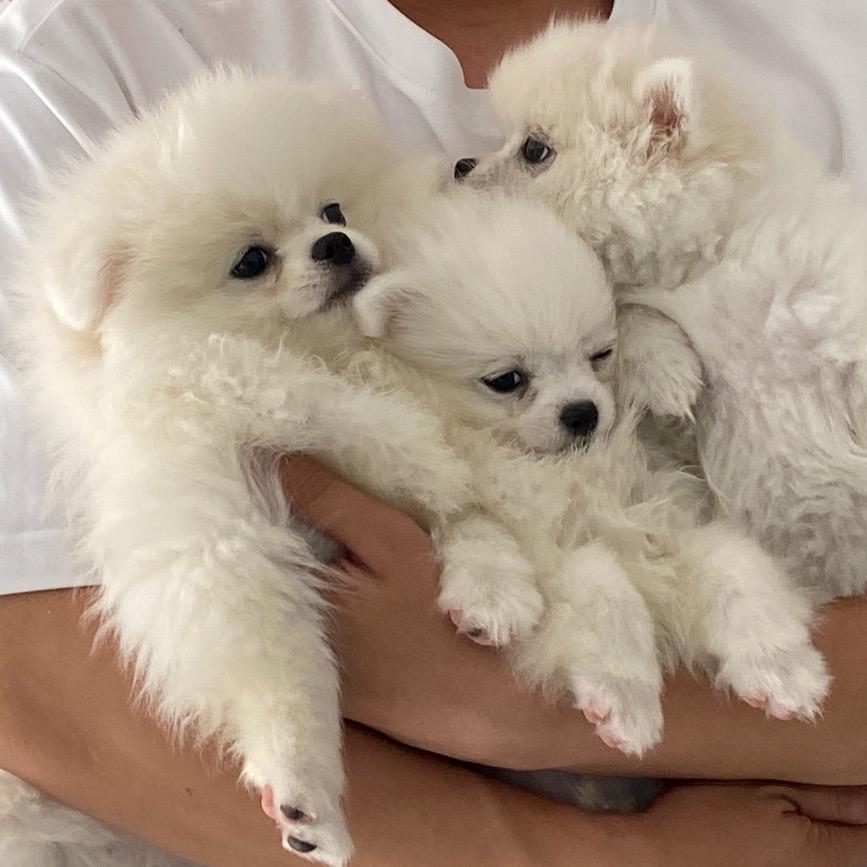 京牧影像中心官方账户