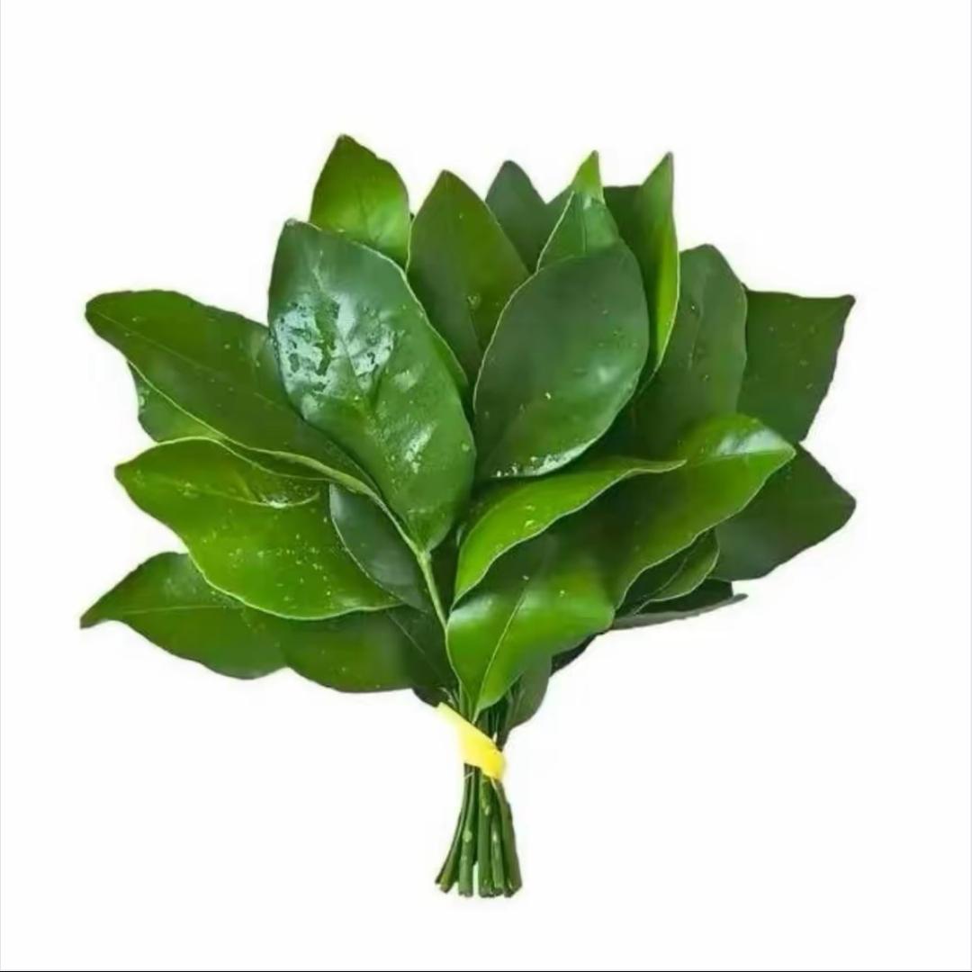 @周俊文头像