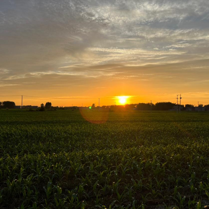 捡到一束光（皖北）