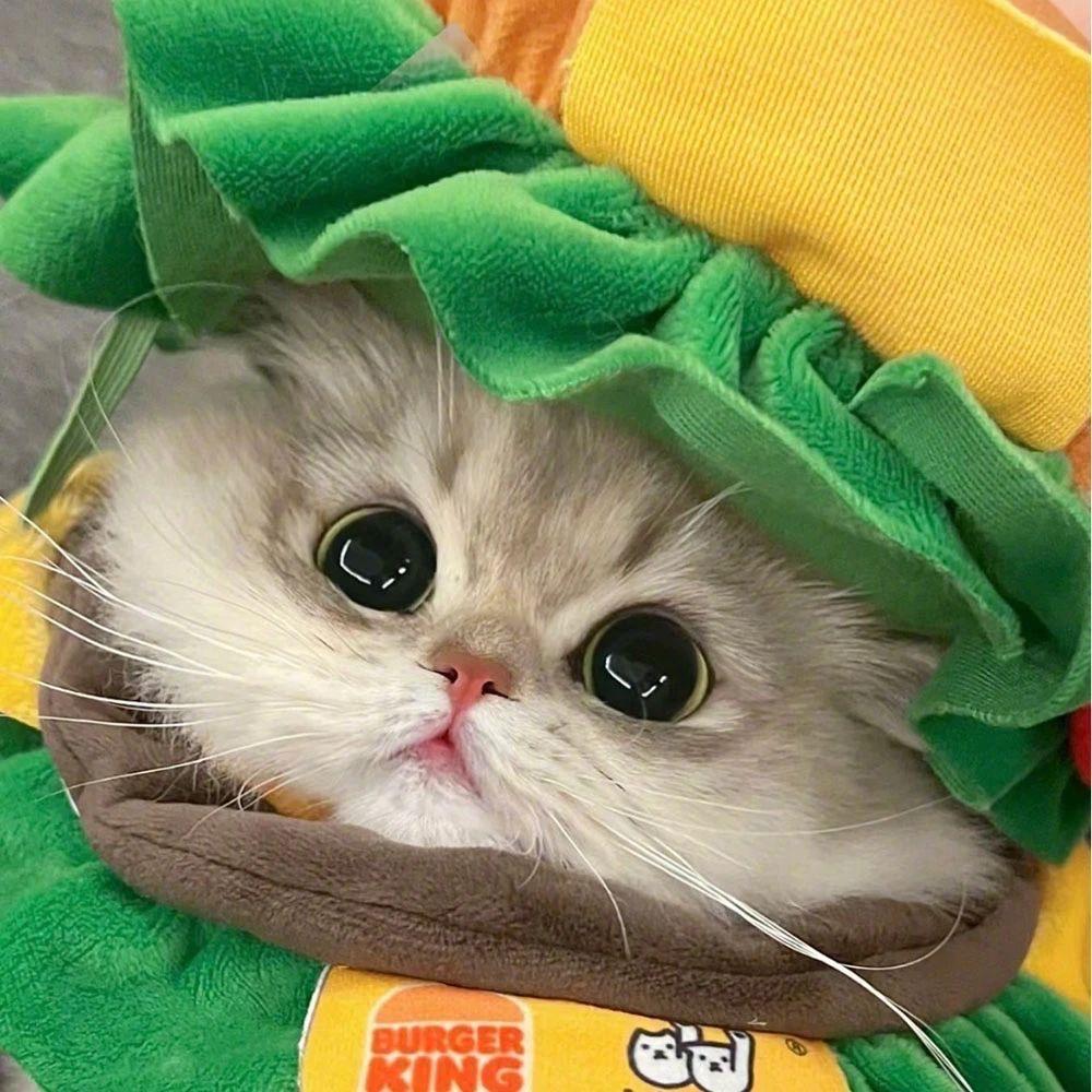 比巴卜。