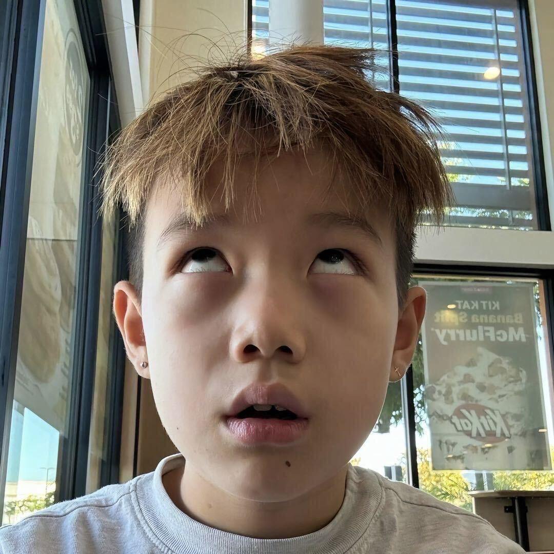 木木.