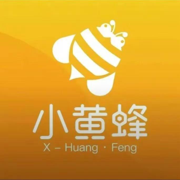 小黄蜂家政C
