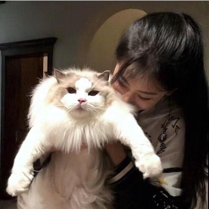 拍拍猪仔🌽