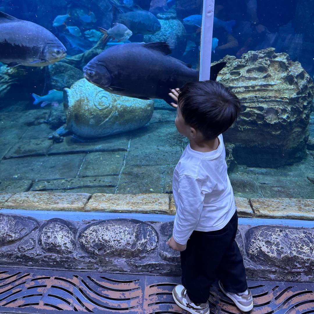 QiQi♡