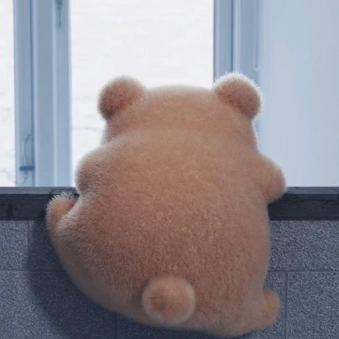 @官方小可爱