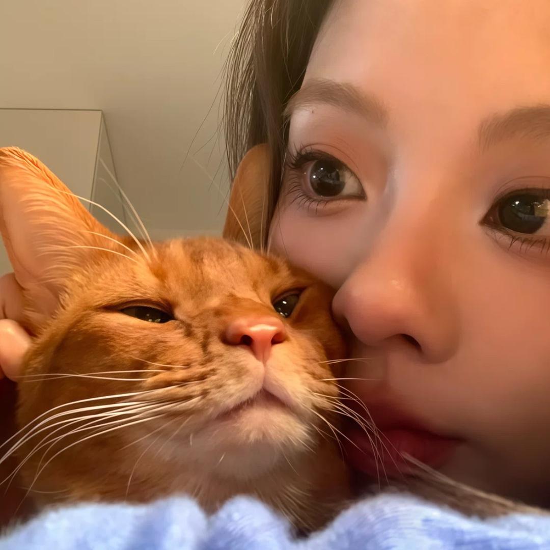 迷你世界🈶十套🏠