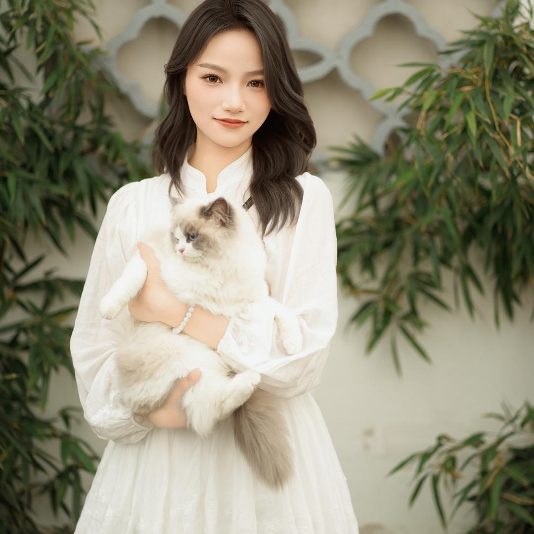 糕冷小美🧸