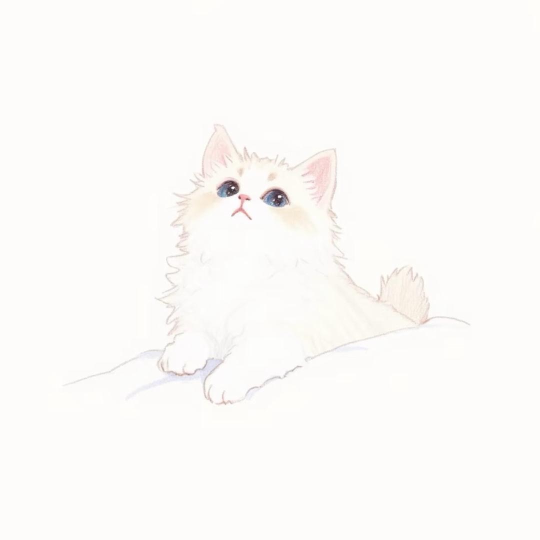 羊羊