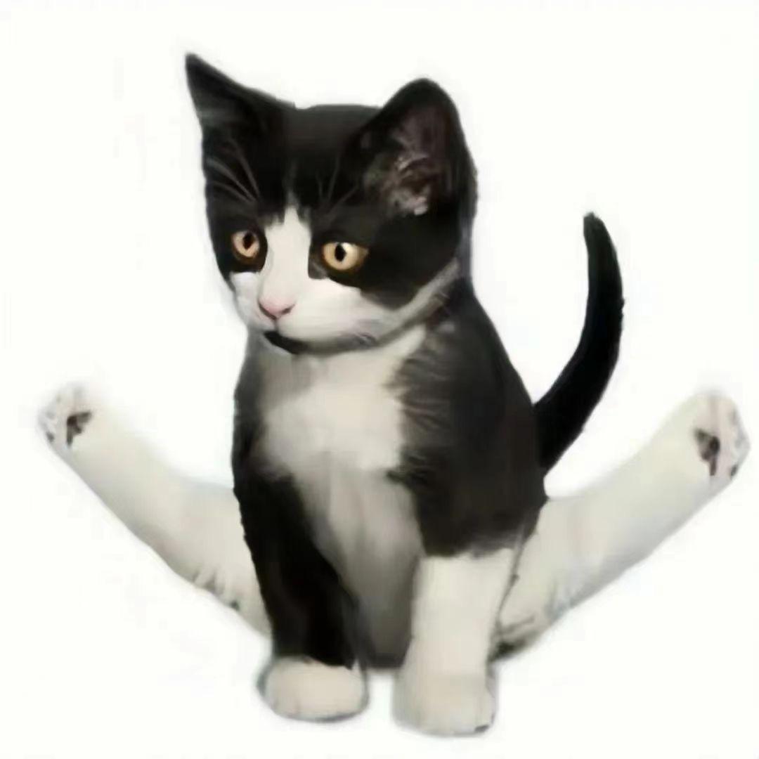 诡