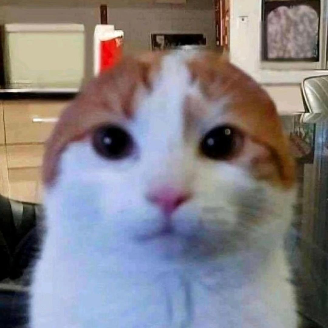 没有你的世界好悲哀