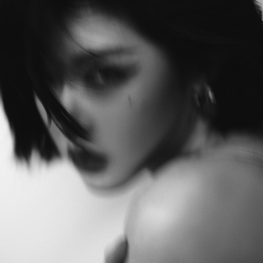 乌龟日记
