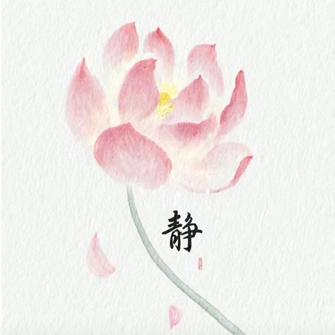 🎐菩提🎐