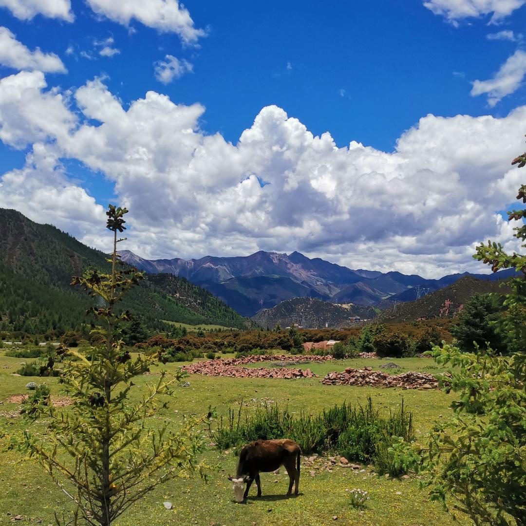 礼豫新疆【免费安家落户】
