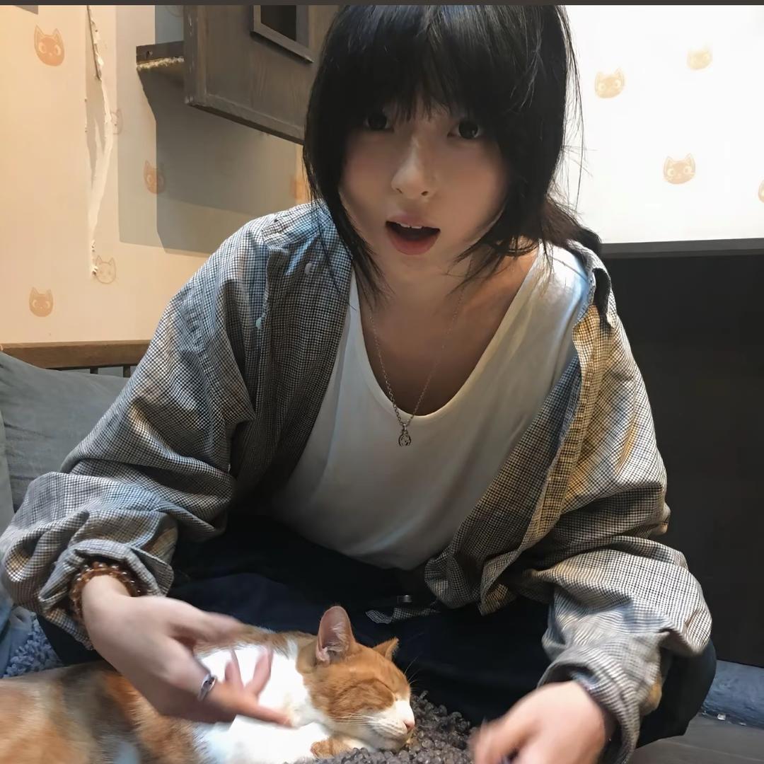 大猫em