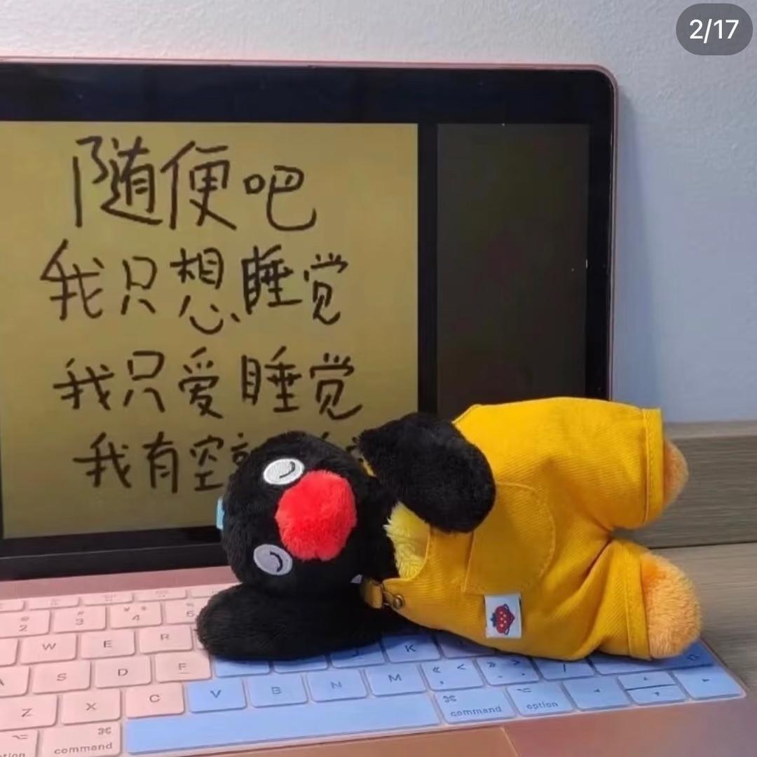 40爱睡觉💤