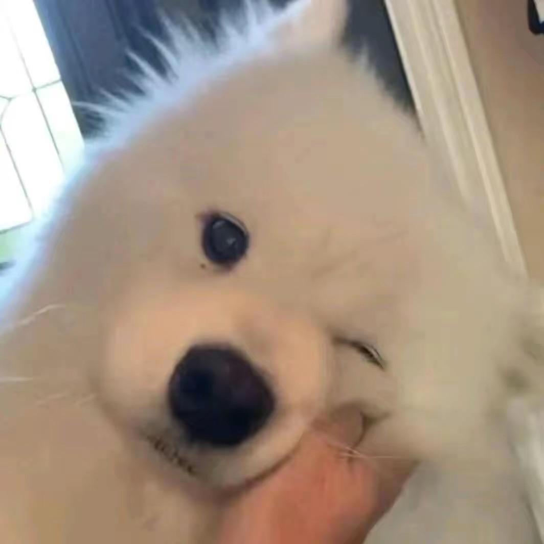 lip