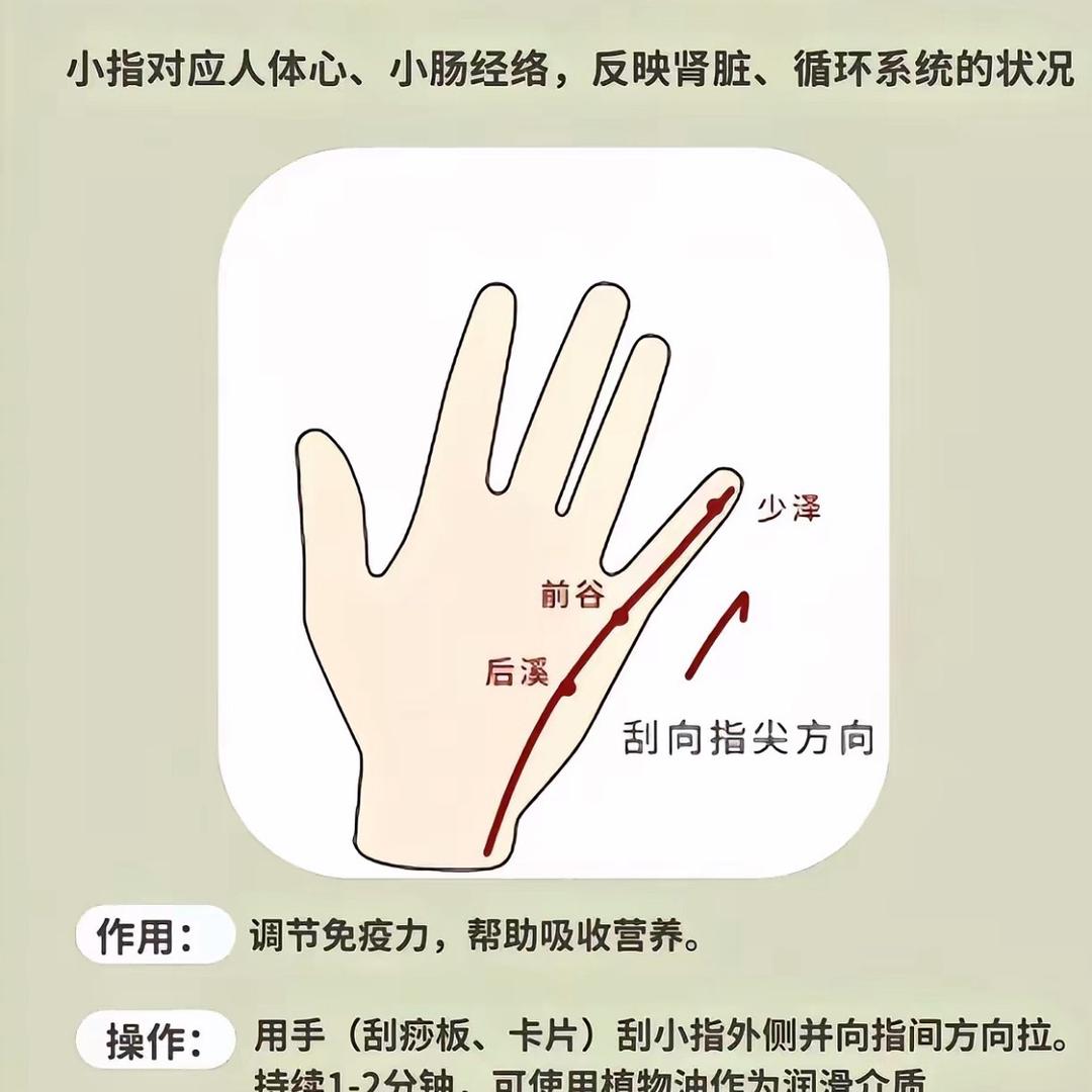 川川无路舟自渡