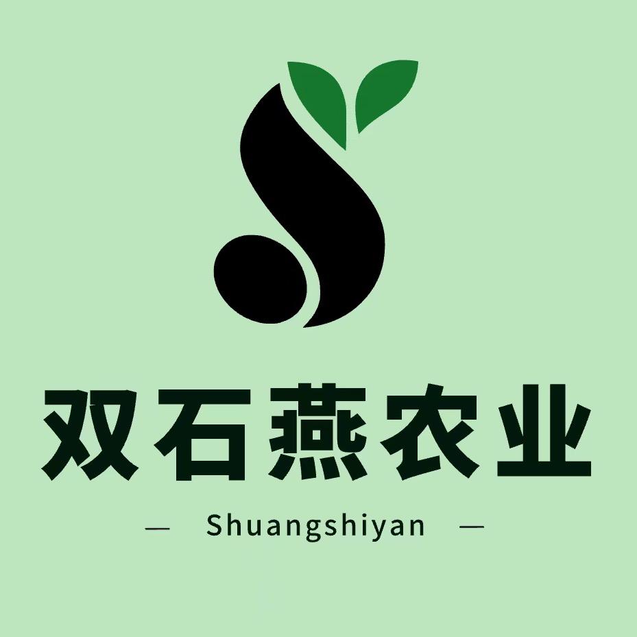 双石燕中药材种苗