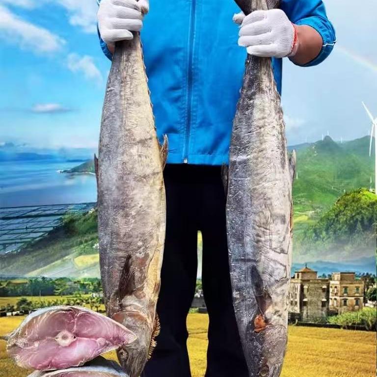 聚洋海产干货