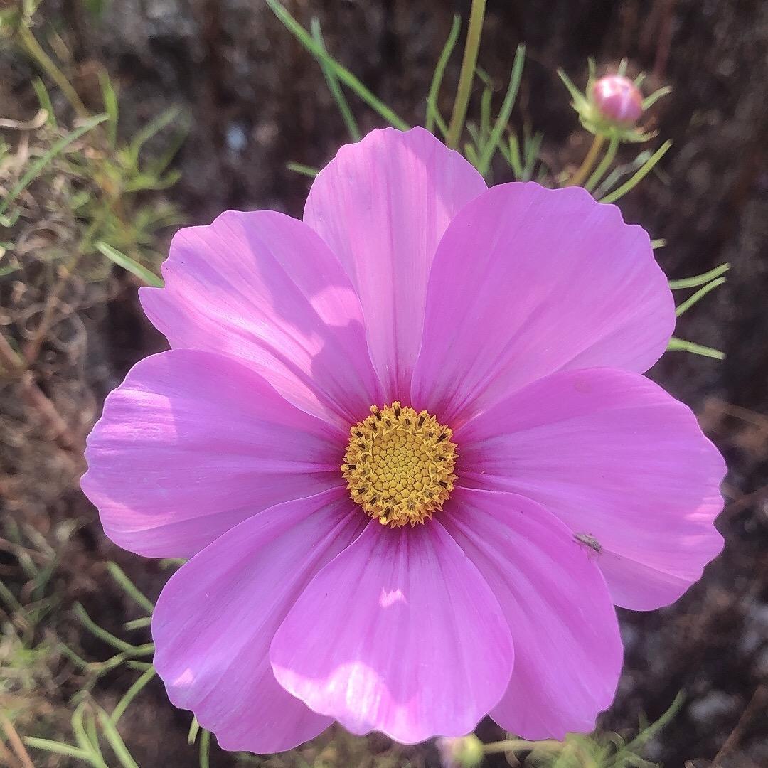 用户6603034177851开心每一天