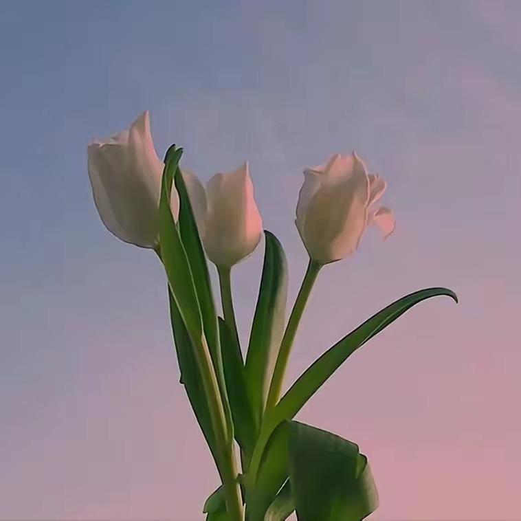 素心