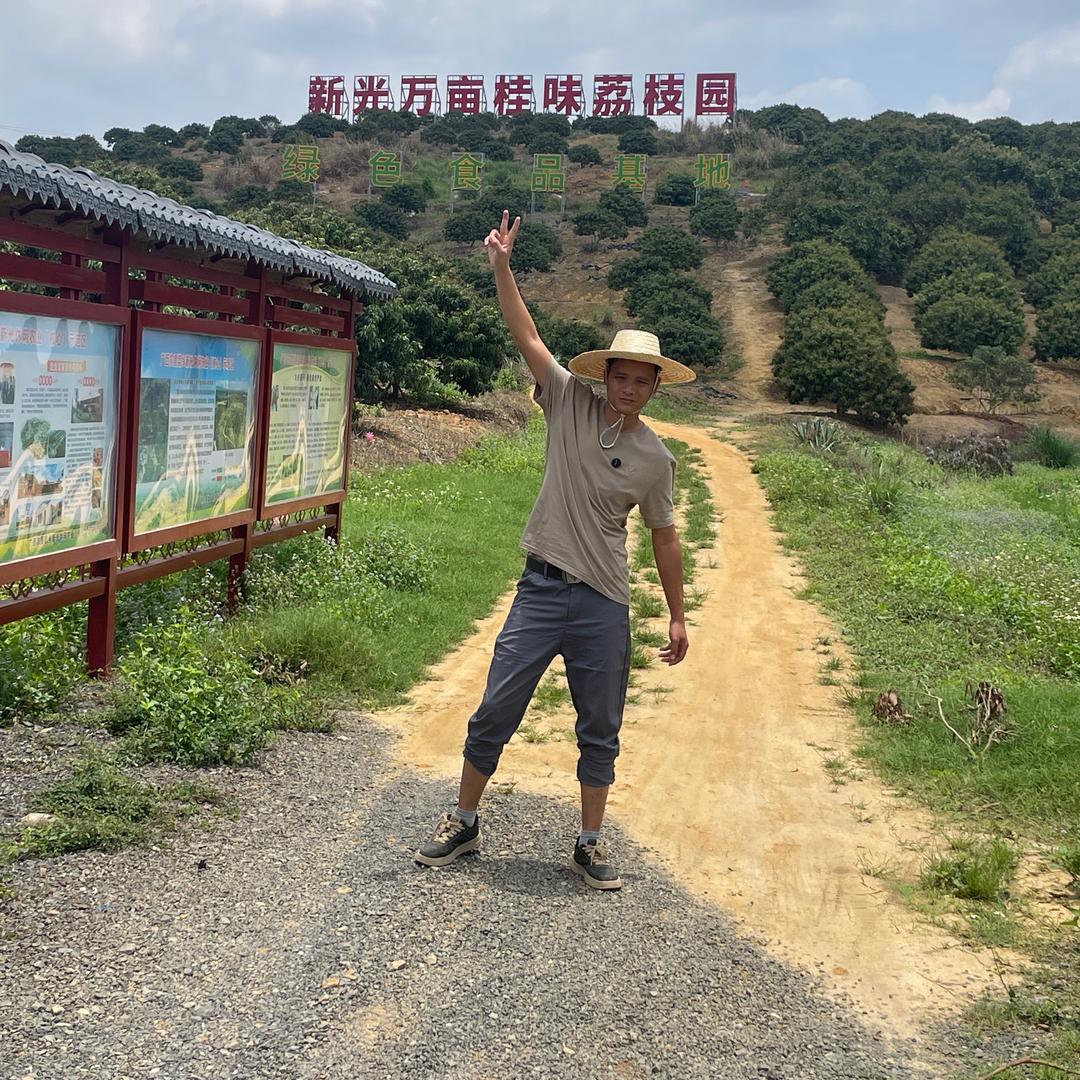 广西老表(黄心木薯季)