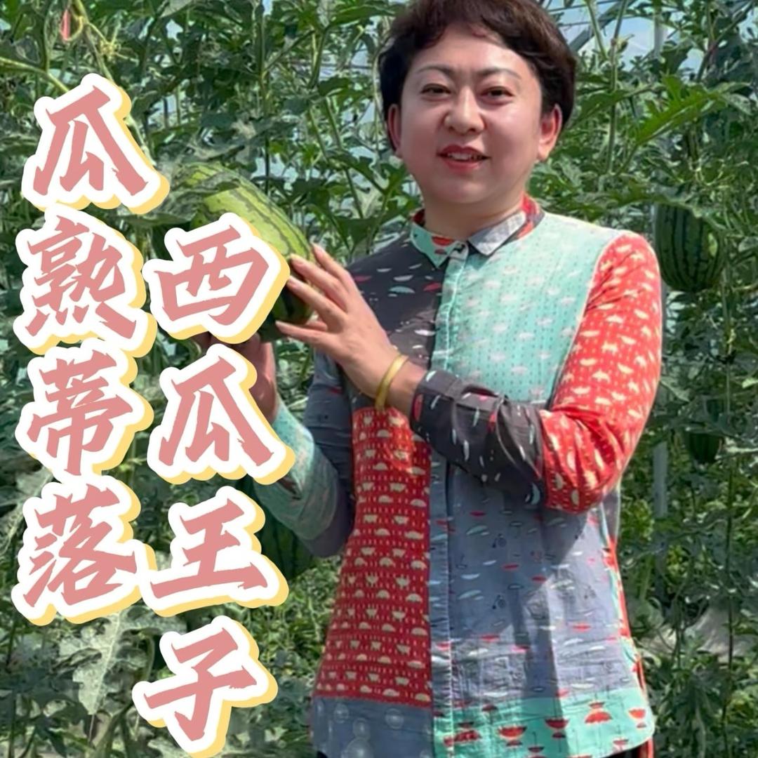 范艳在北大荒（天下第一场）