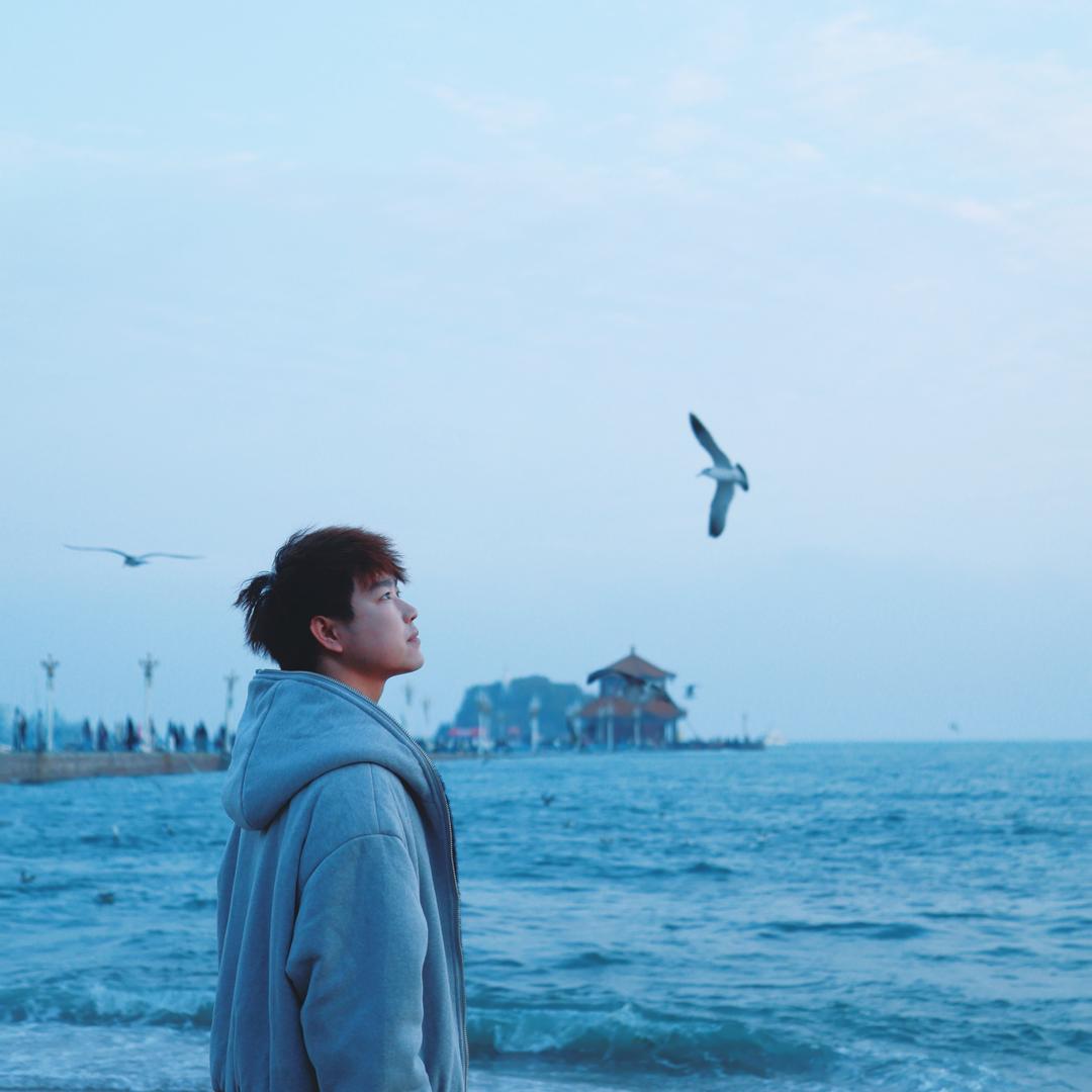 阿尔卑斯小树儿💲