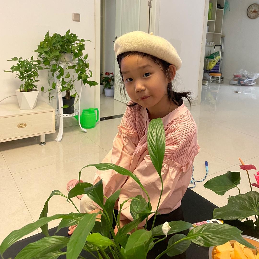 薇薇妍妍(彬彬同学)