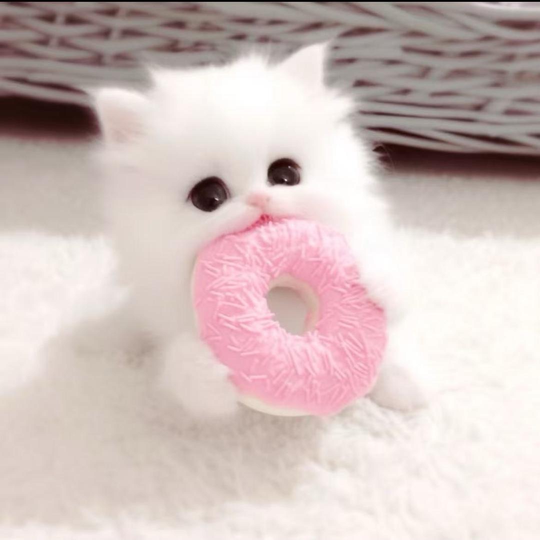 每天非常困