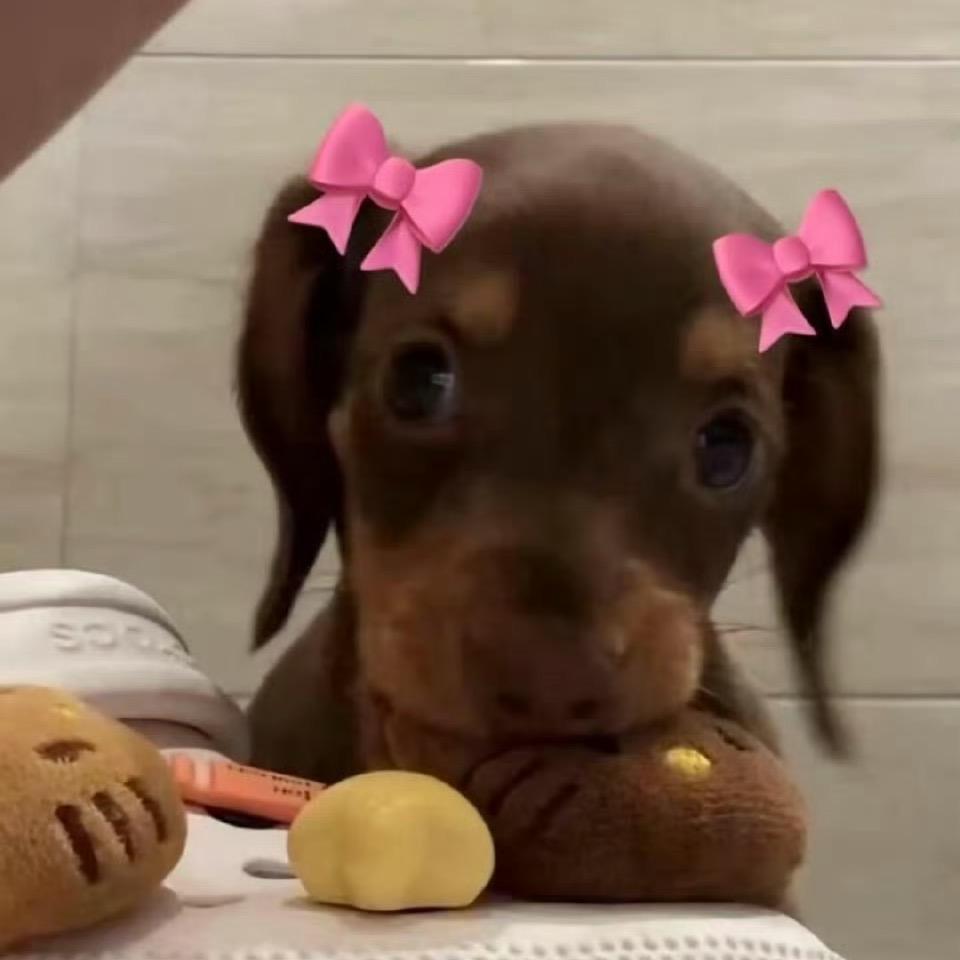 .🧸