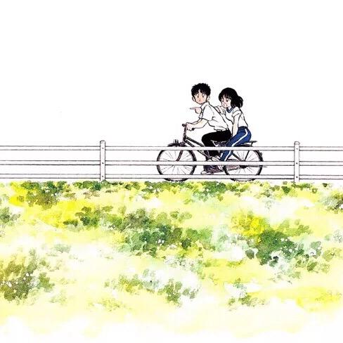 茵芋特产