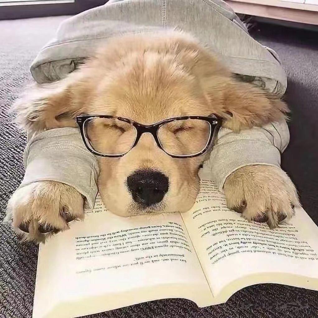 ⛄️RainWhisper🌦️