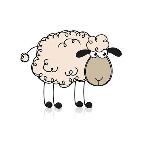 山东小绵羊🐑