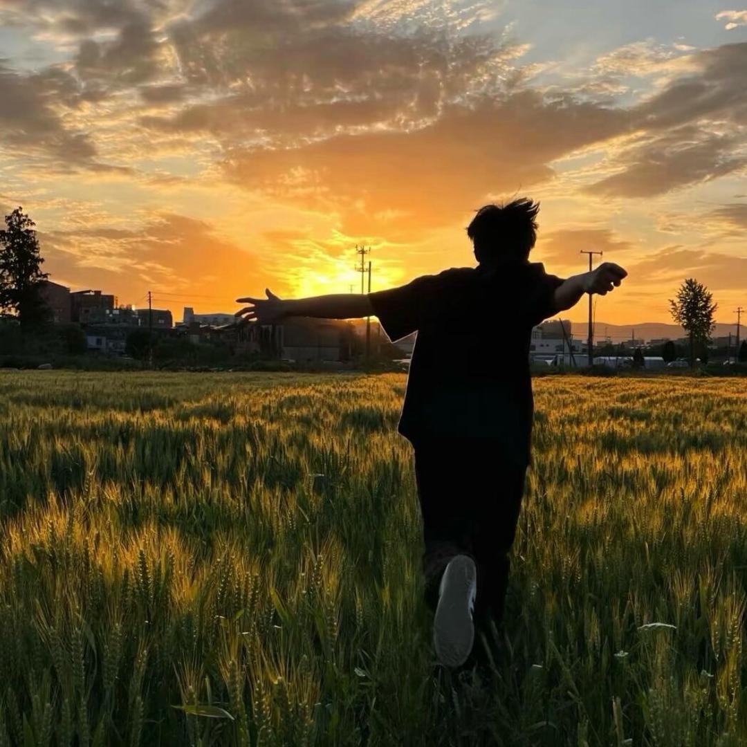 若你有天会懂🦈.