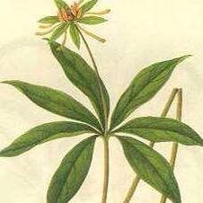 彤茗堂（请勿连赞）