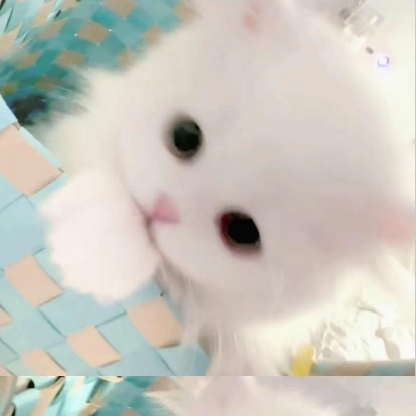 ..涵.