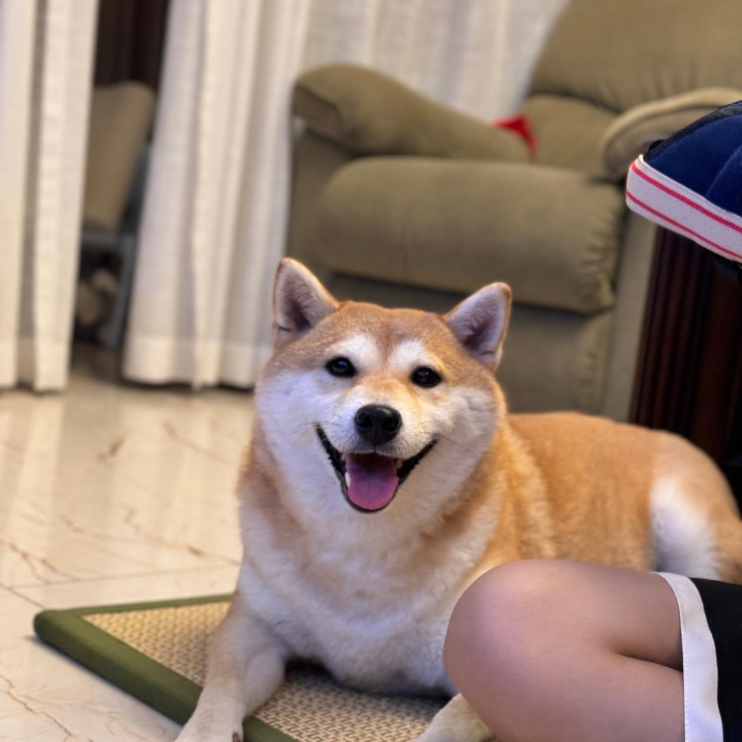 六六发财